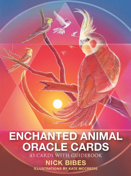 Taro kortos Enchanted Animal Oracle Animal Dreaming paveikslėlis 8 iš 9