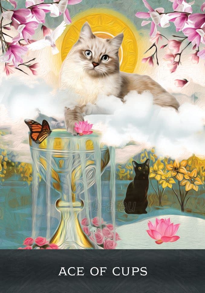 Taro kortos Grimalkins Curious Cats Tarot kortos Hay House paveikslėlis 4 iš 8