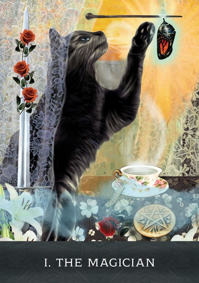 Taro kortos Grimalkins Curious Cats Tarot kortos Hay House paveikslėlis 6 iš 8