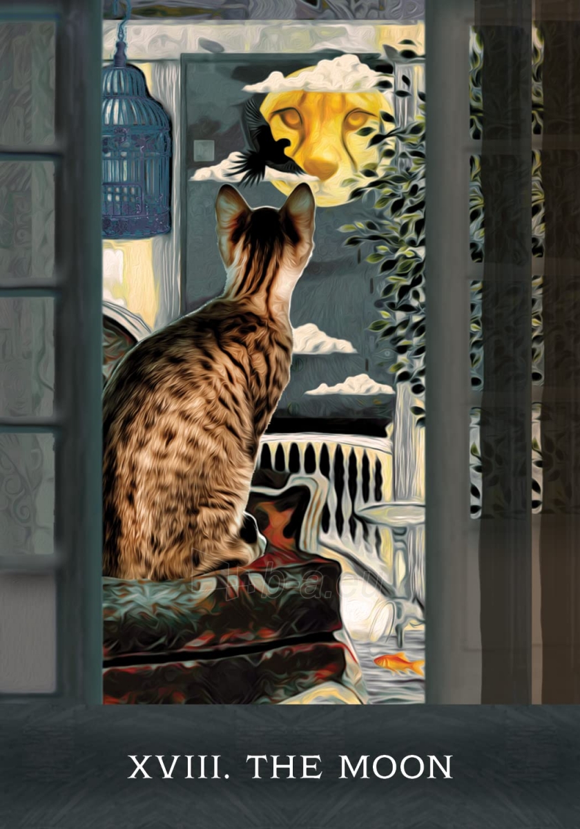 Taro kortos Grimalkins Curious Cats Tarot kortos Hay House paveikslėlis 7 iš 8