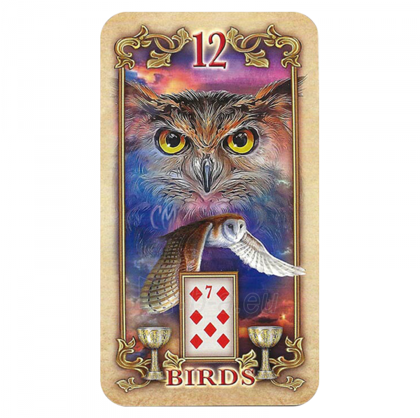 Taro kortos Lustrous Lenormand Oracle kortos Llewellyn paveikslėlis 7 iš 14