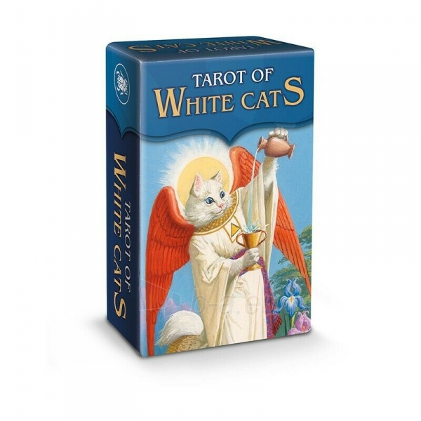 Taro Kortos Mini Tarot Of White Cats paveikslėlis 4 iš 6