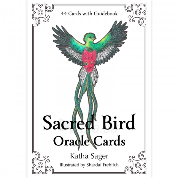 Taro kortos Sacred Bird Oracle kortos Animal Dreaming paveikslėlis 5 iš 8