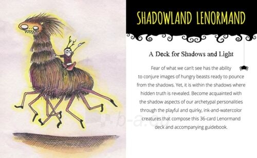 Taro kortos Shadowland Lenormand cards taro kortos Schiffer Publishing paveikslėlis 11 iš 13