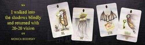 Taro kortos Shadowland Lenormand cards taro kortos Schiffer Publishing paveikslėlis 3 iš 13