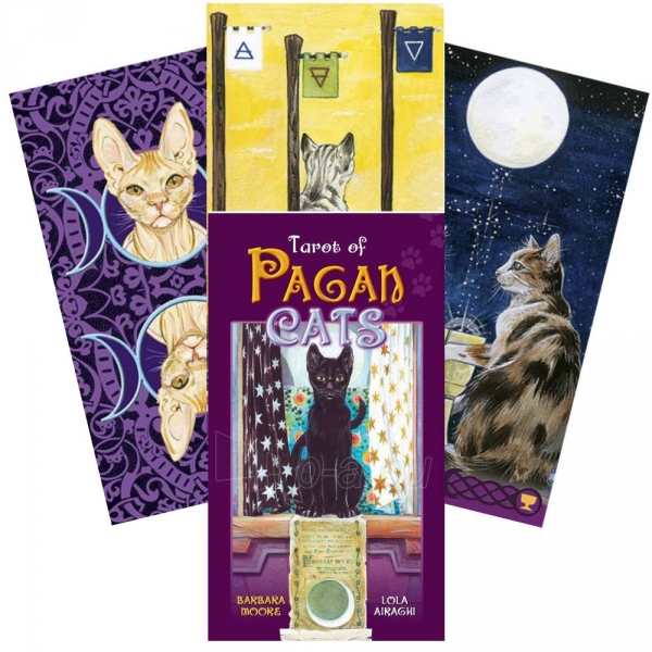 Taro Kortos Tarot Of Pagan Cats paveikslėlis 1 iš 6