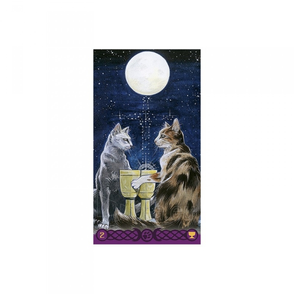 Taro Kortos Tarot Of Pagan Cats paveikslėlis 4 iš 6