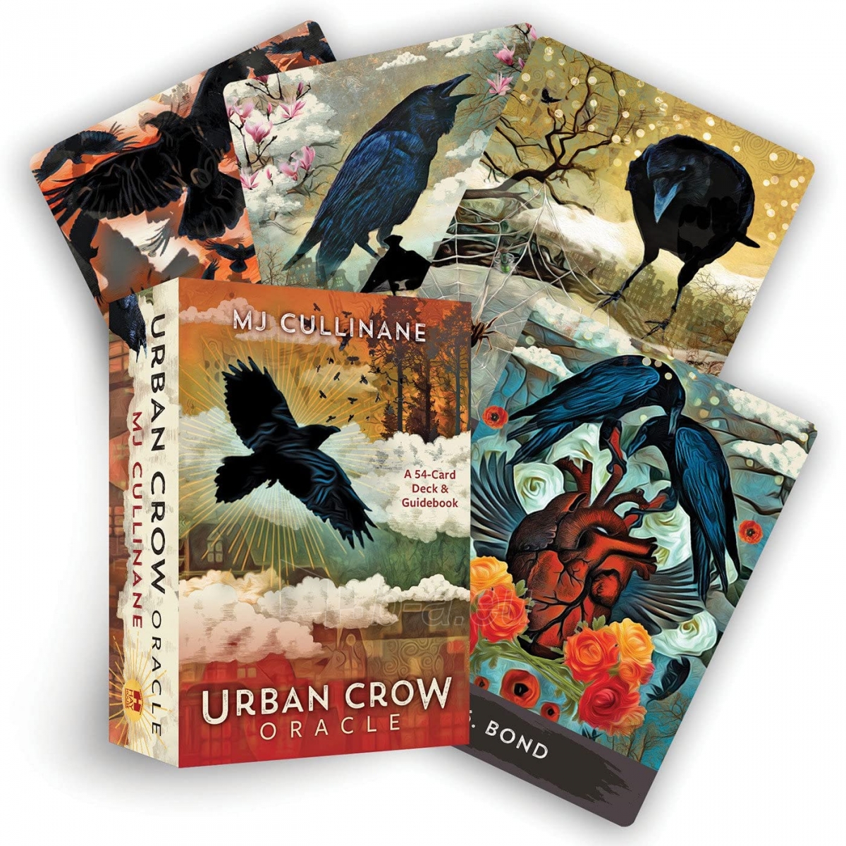 Taro kortos Urban Crow Oracle kortos Hay House paveikslėlis 1 iš 11