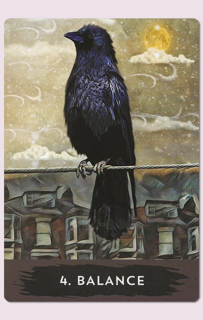 Taro kortos Urban Crow Oracle kortos Hay House paveikslėlis 2 iš 11