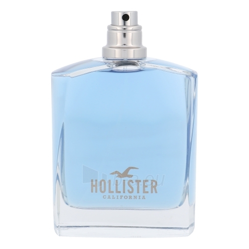 hollister wave for him 100ml