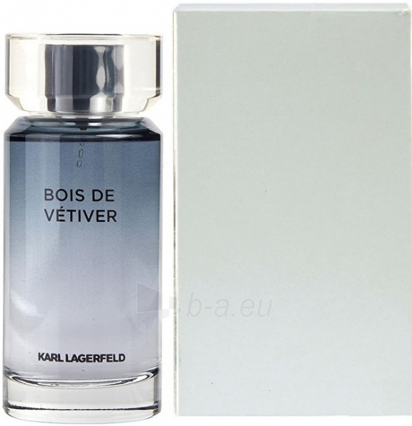 Lagerfeld bois de vetiver hot sale