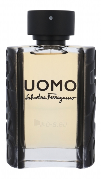 Tualetes ūdens Salvatore Ferragamo Uomo EDT Damaged Box100ml paveikslėlis 1 iš 1