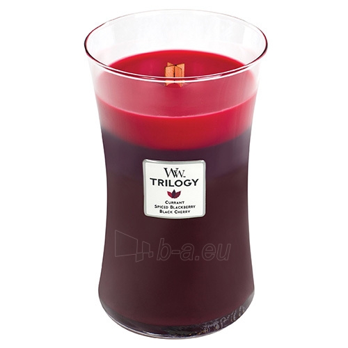 WoodWick Scented candle vase Trilogy Sun-Ripened Berries 609.5 g paveikslėlis 1 iš 1